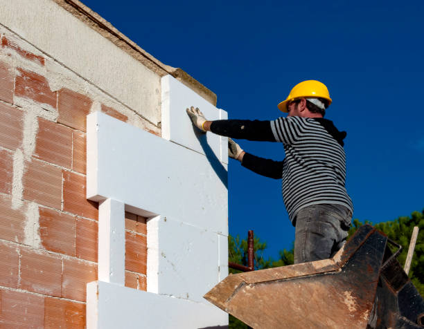 Best Cellulose Insulation  in Cassville, MO