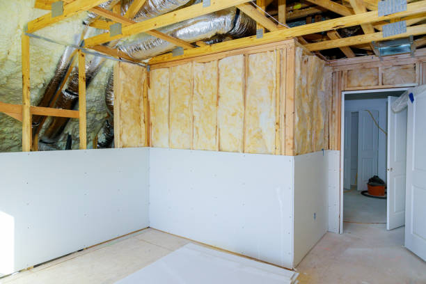 Best Spray Foam Insulation  in Cassville, MO