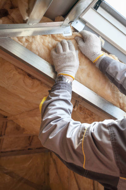 Best Local Insulation Services  in Cassville, MO