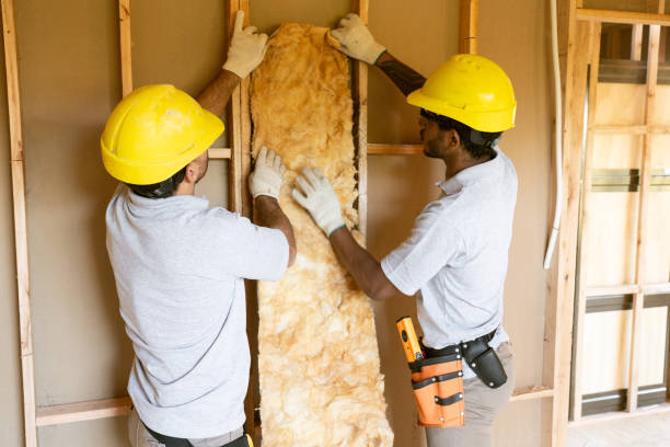 Best Insulation Contractor Near Me  in Cassville, MO