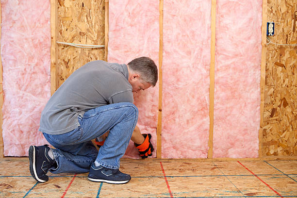Best Blown-in Insulation  in Cassville, MO