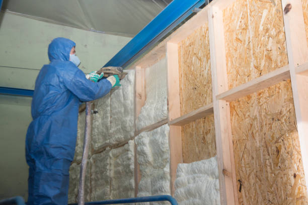Best Professional Insulation Contractor  in Cassville, MO