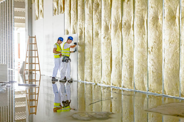 Best Garage Insulation Installation  in Cassville, MO